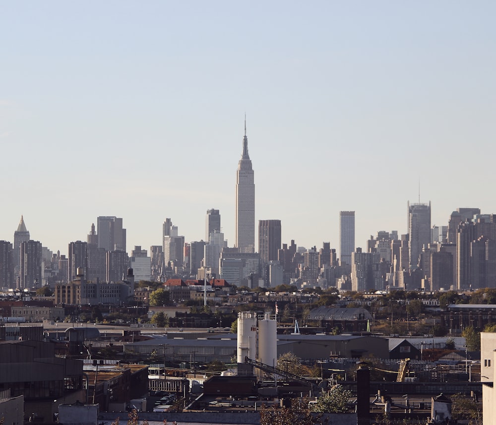 a view of a city skyline from a distance