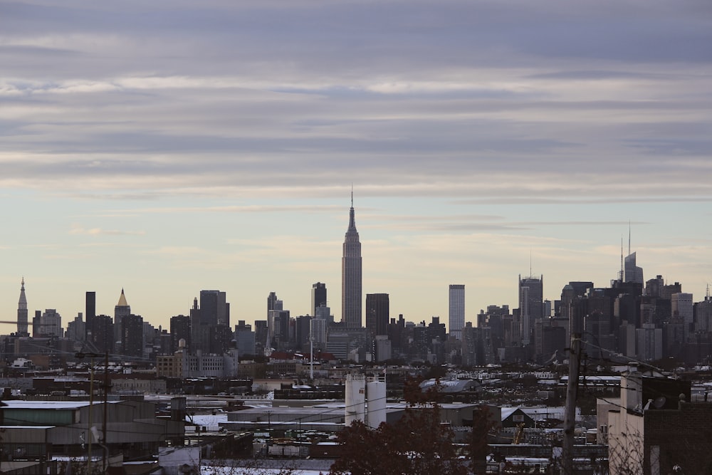 a view of a city skyline from a distance