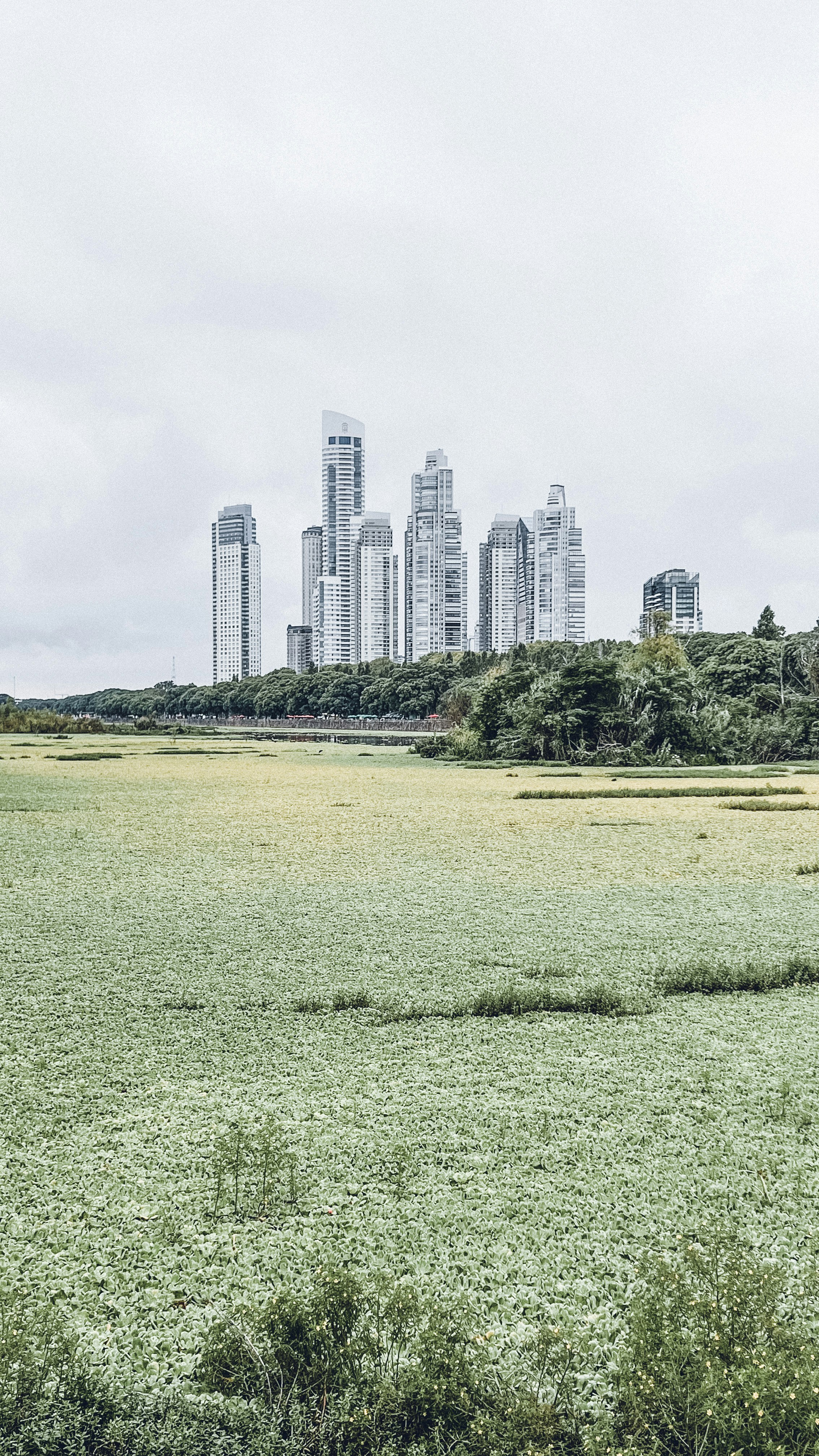 Buenos Aires skyline