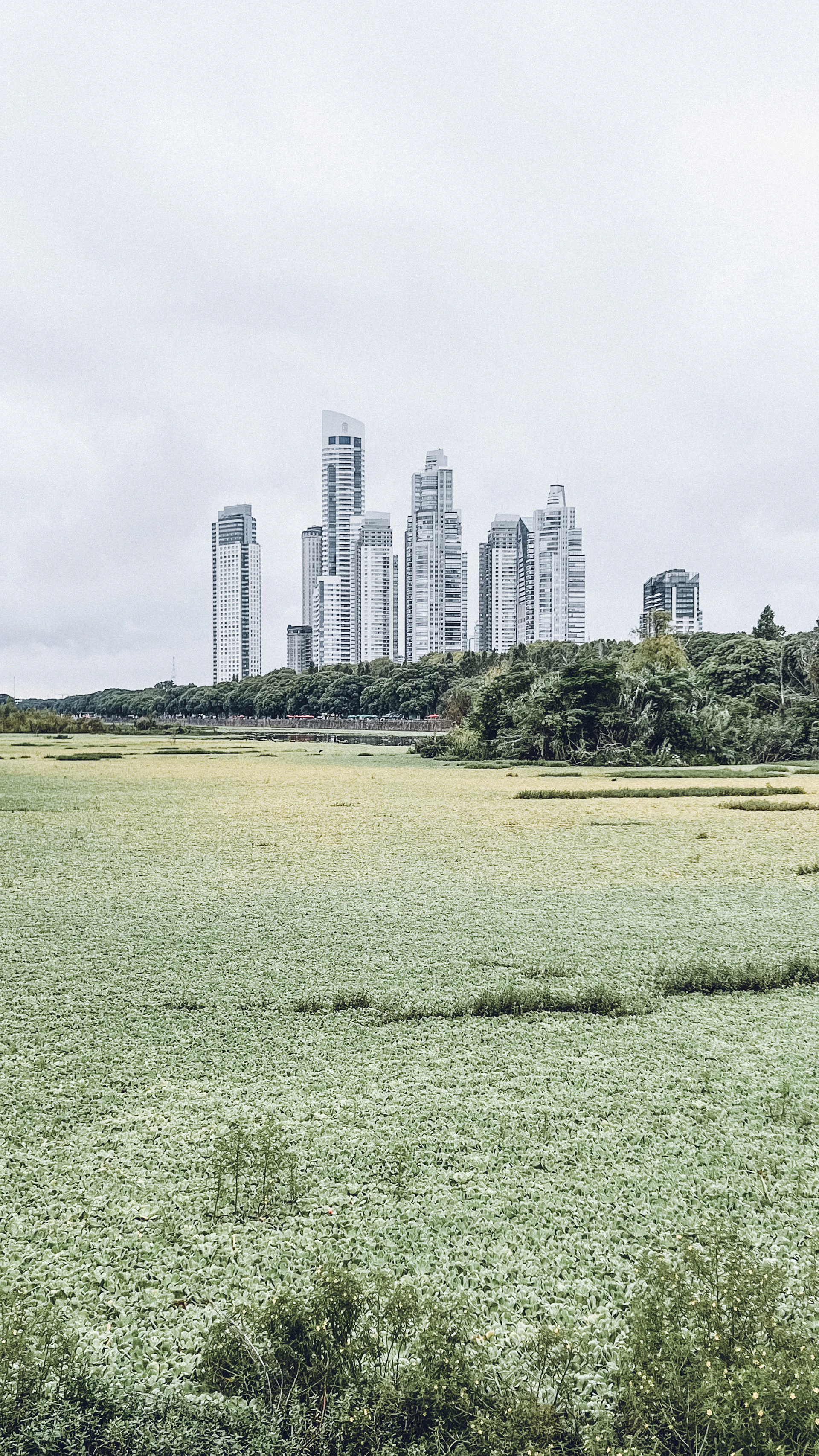 Buenos Aires Skyline
