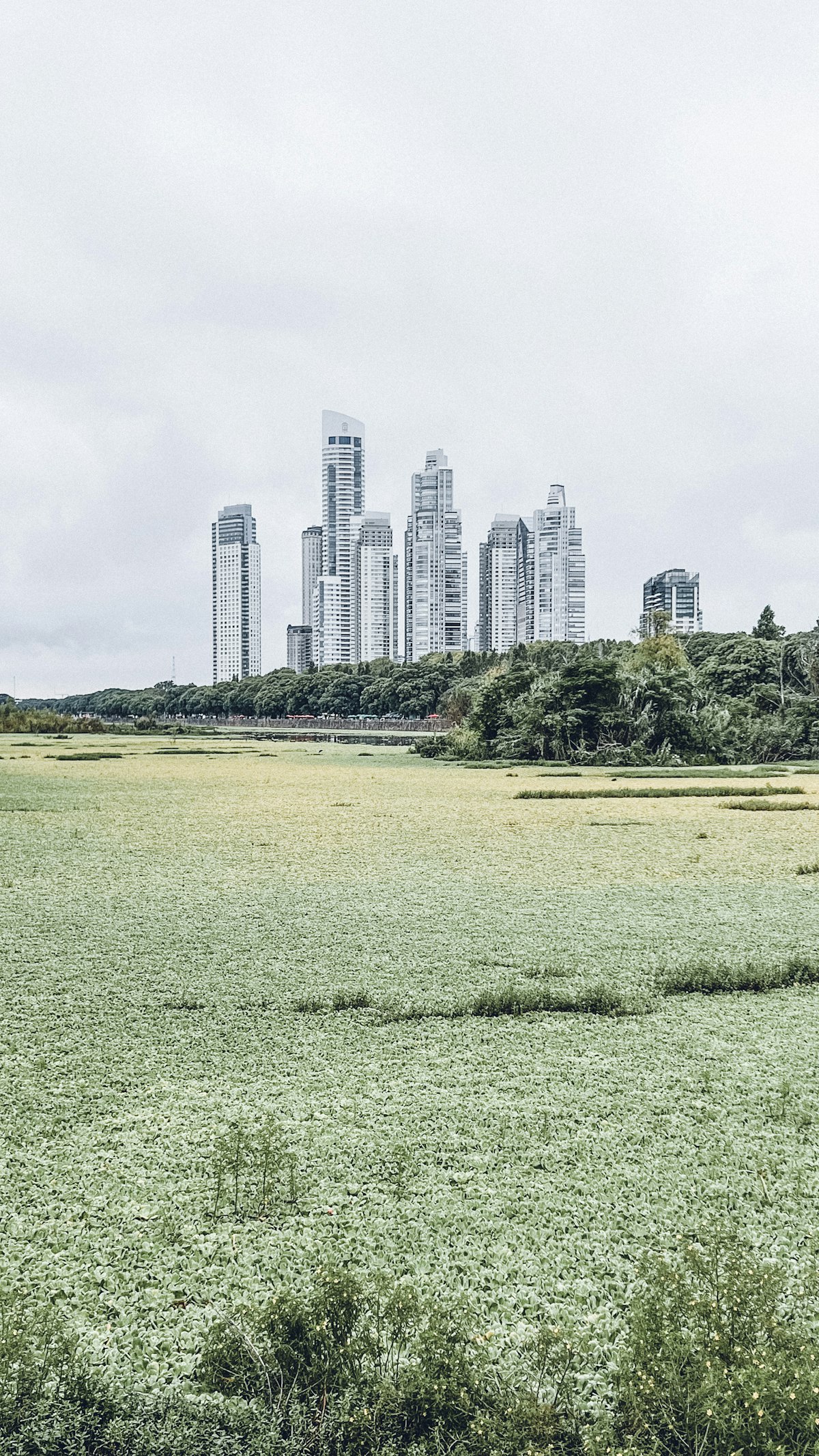 Buenos Aires skyline with modern high-rise buildings