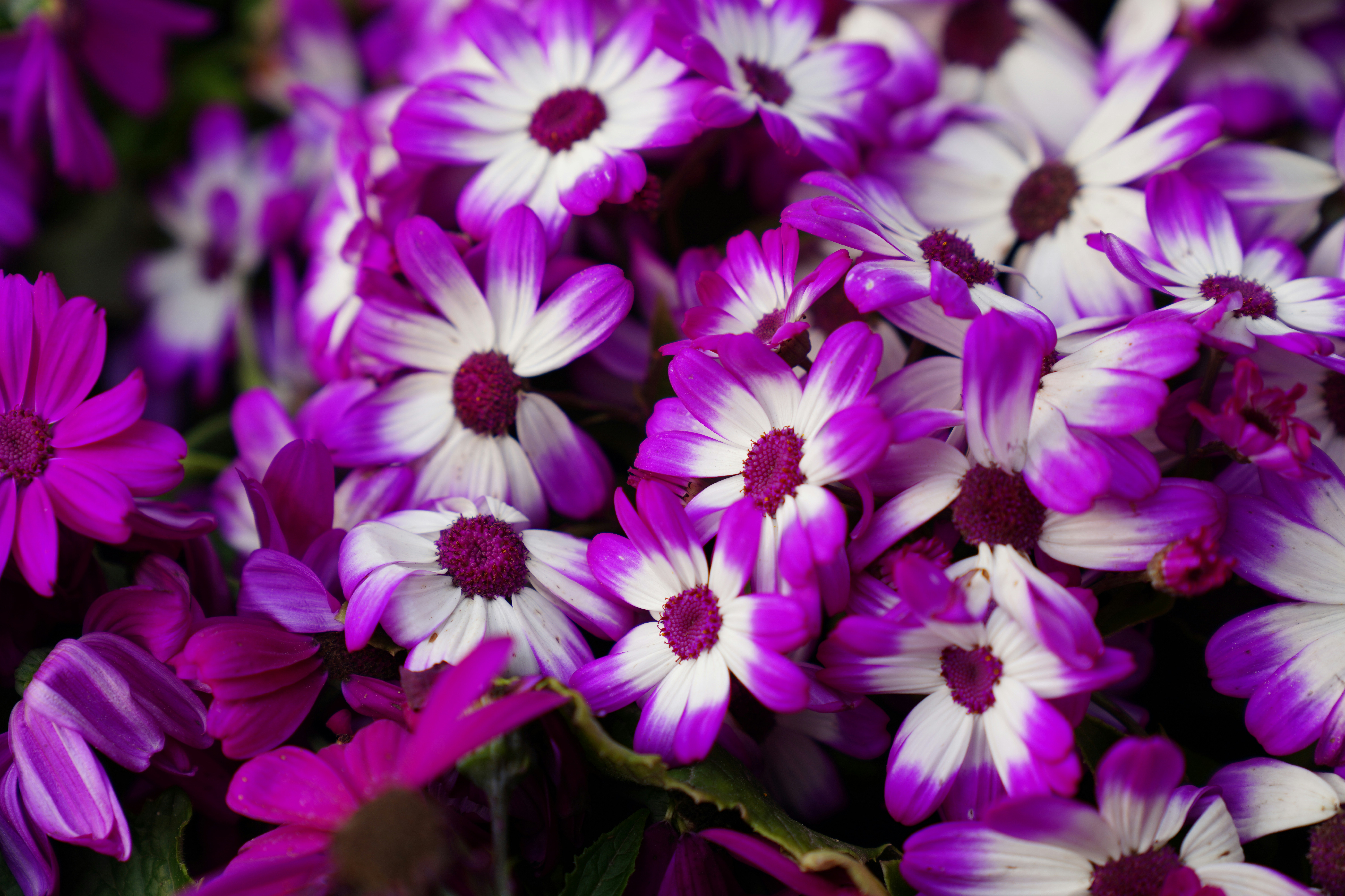 Photo by ttxiangni123