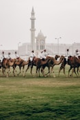 dream doha qatar
