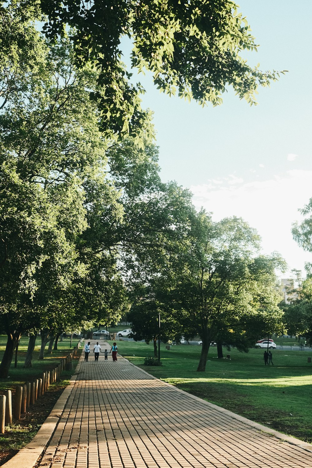 a group of people walking down a path in a park