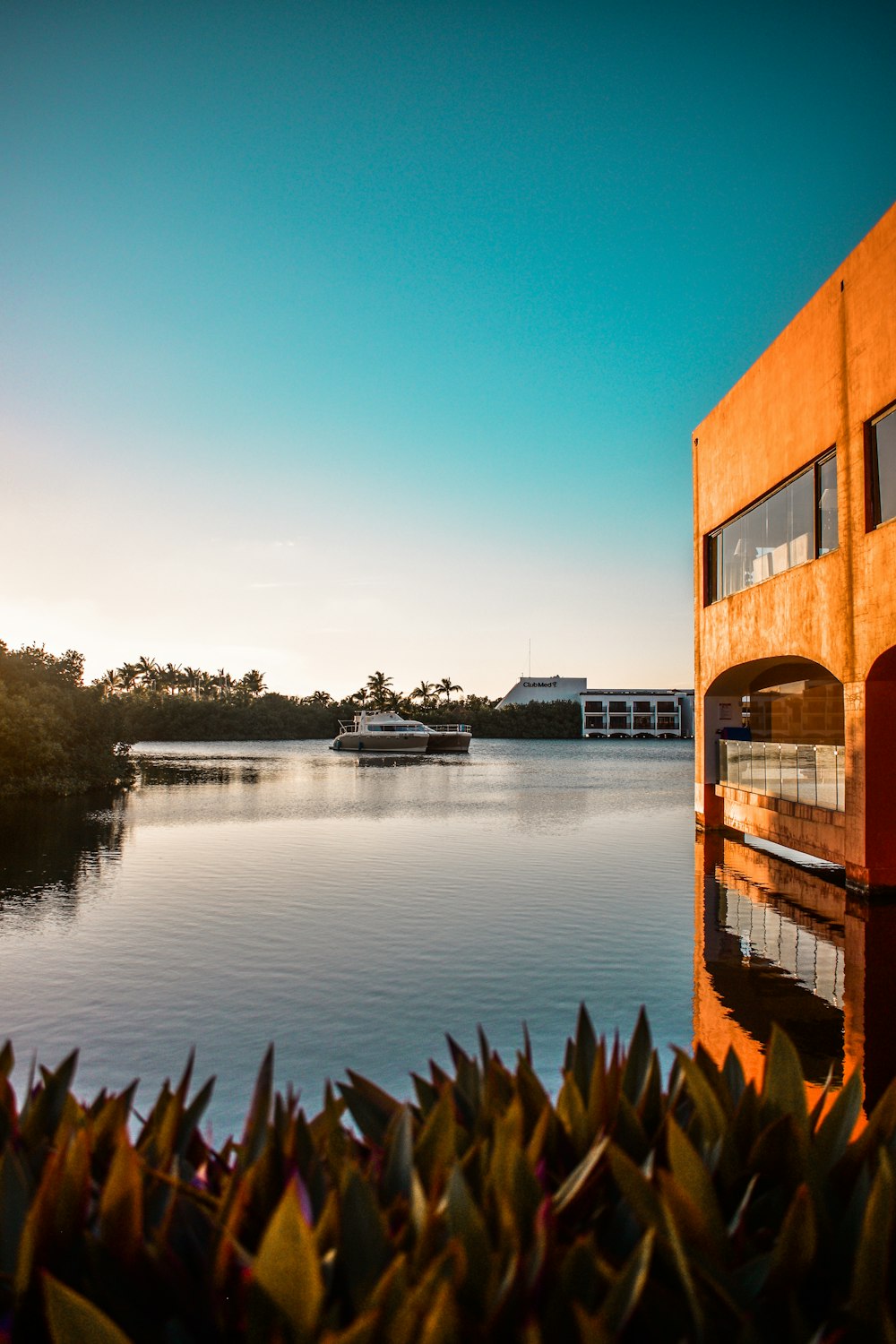 a body of water surrounded by trees and buildings