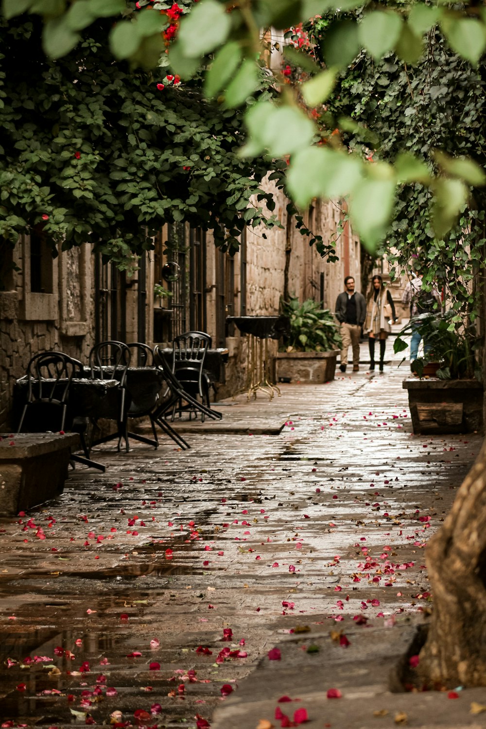 a couple of people walking down a street next to a tree