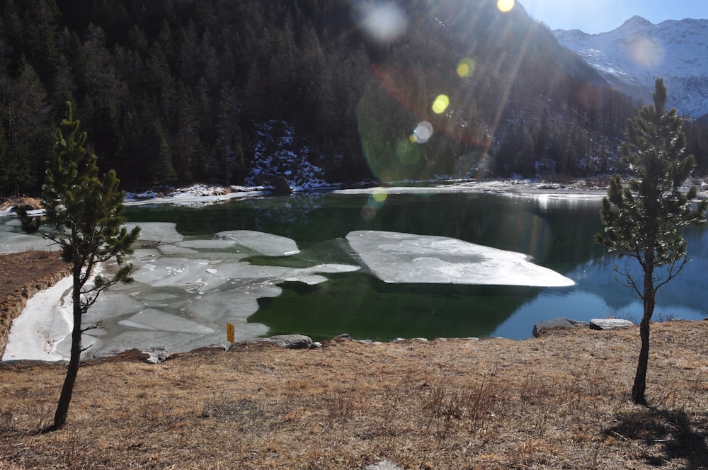 a lake surrounded by snow and pine trees