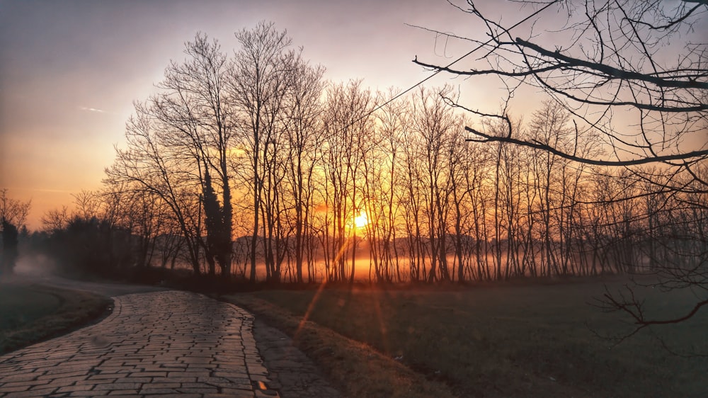 the sun is setting in the distance behind some trees