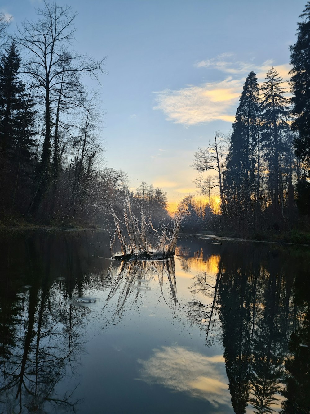 a boat floating on top of a lake next to a forest