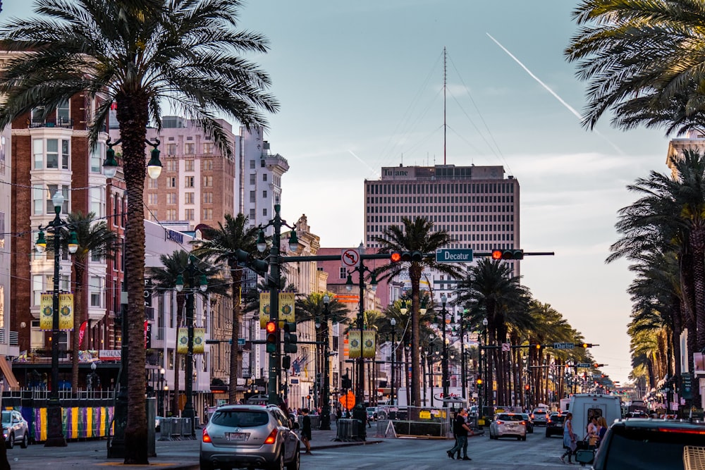 a city street with palm trees and traffic lights