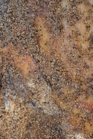 Microscopic view highlighting the fine particles in water-based paint binders.