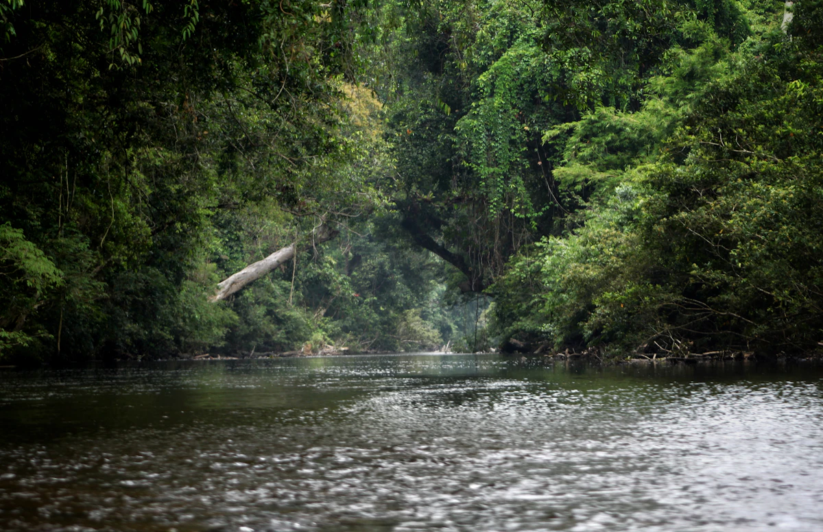 Sepik