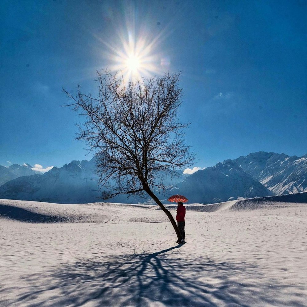 Una persona parada debajo de un árbol en la nieve