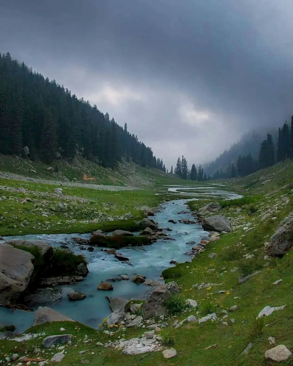 a stream running through a lush green valley