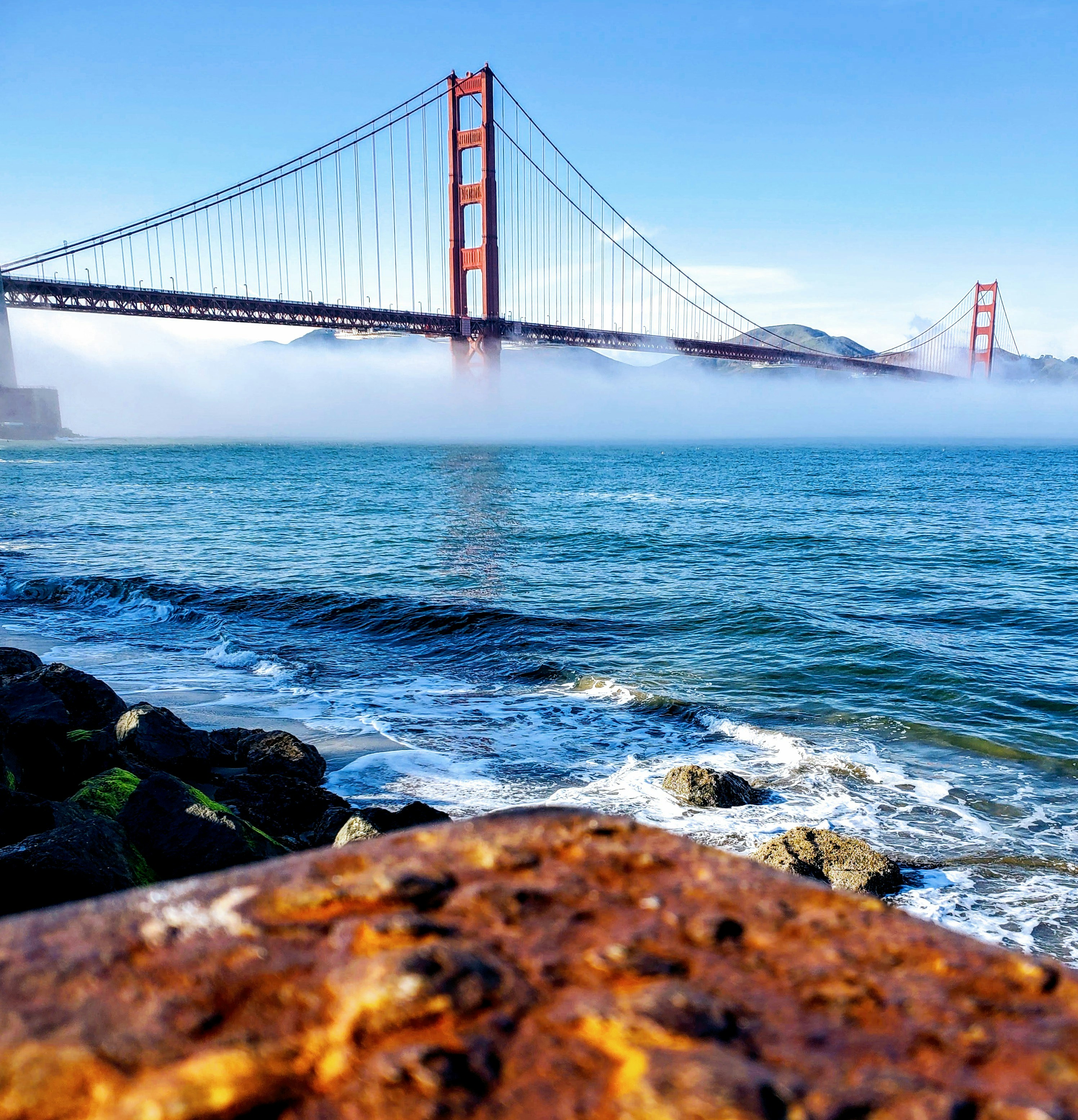 Photo by jashkirat_singh