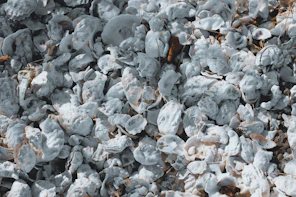 a close up of a pile of rocks covered in snow