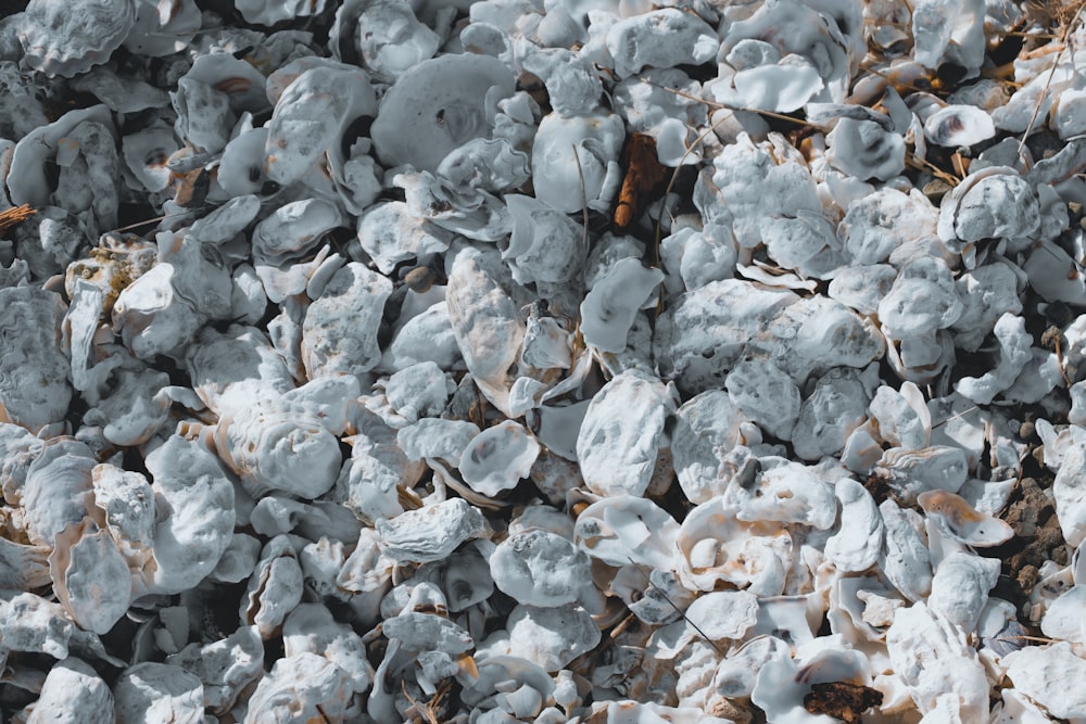 a close up of a pile of rocks covered in snow