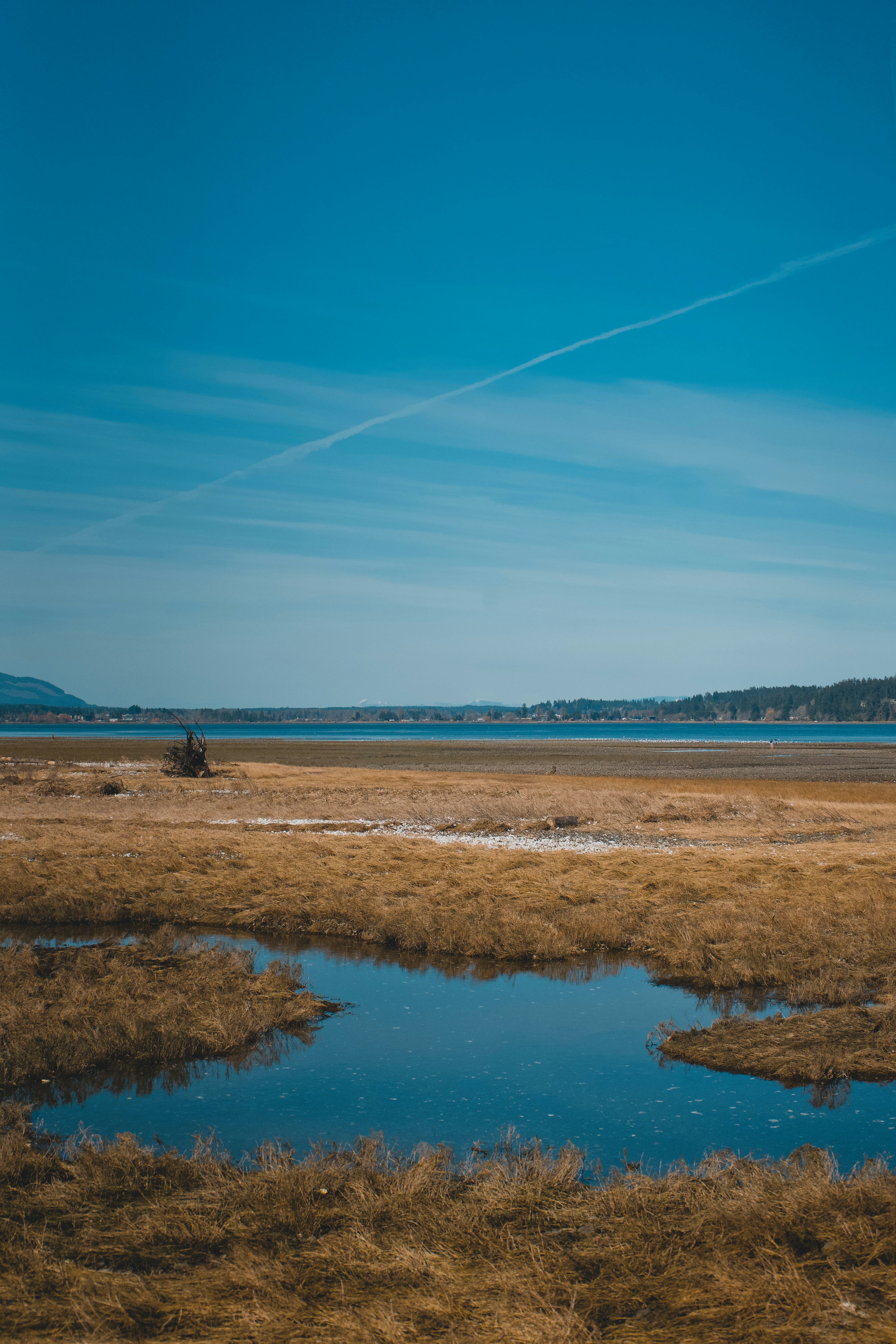 a large body of water surrounded by dry grass