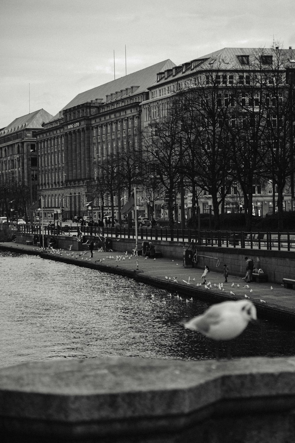 a black and white photo of a bird flying over a body of water