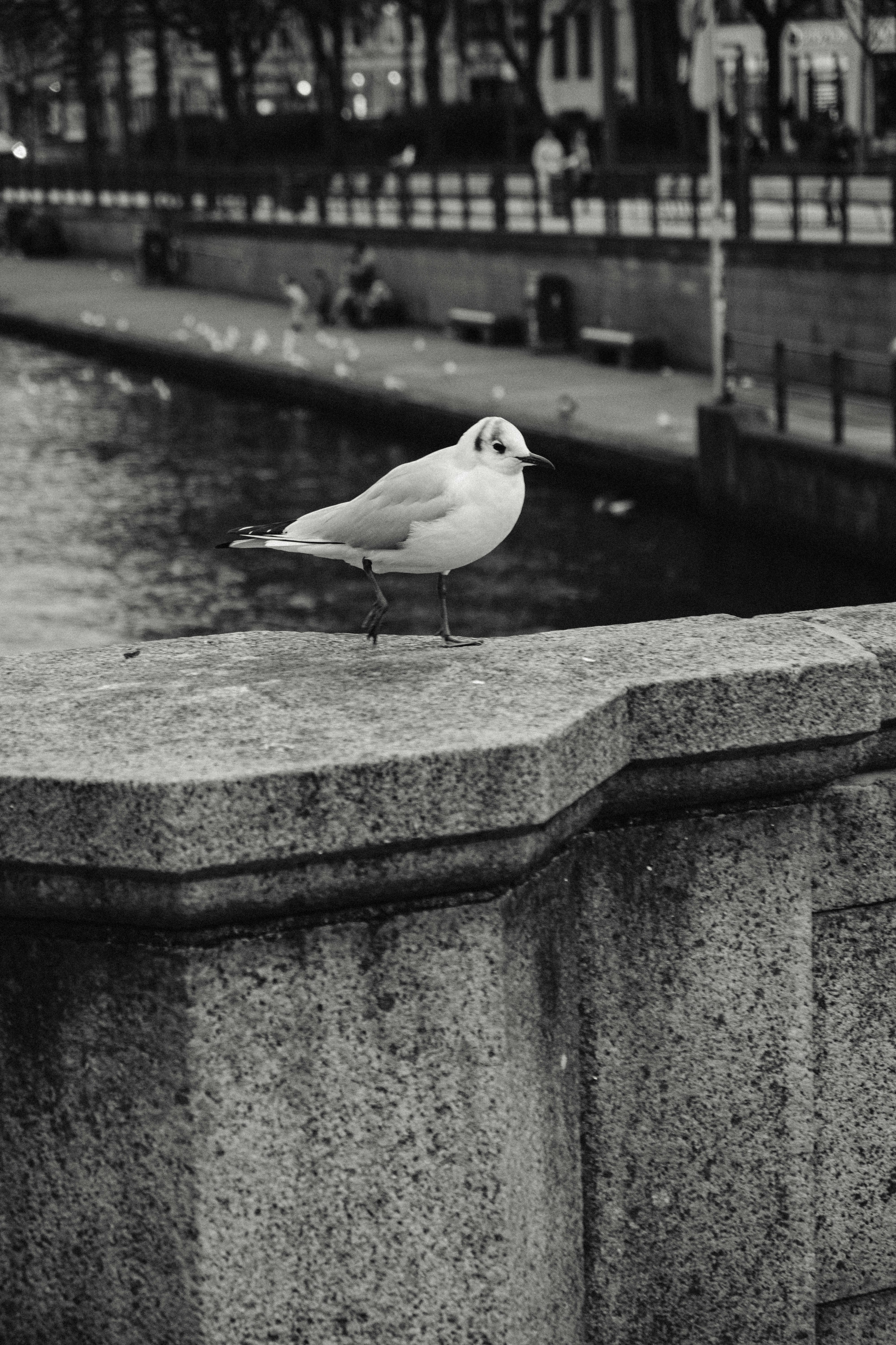 Photo by moritz_photography