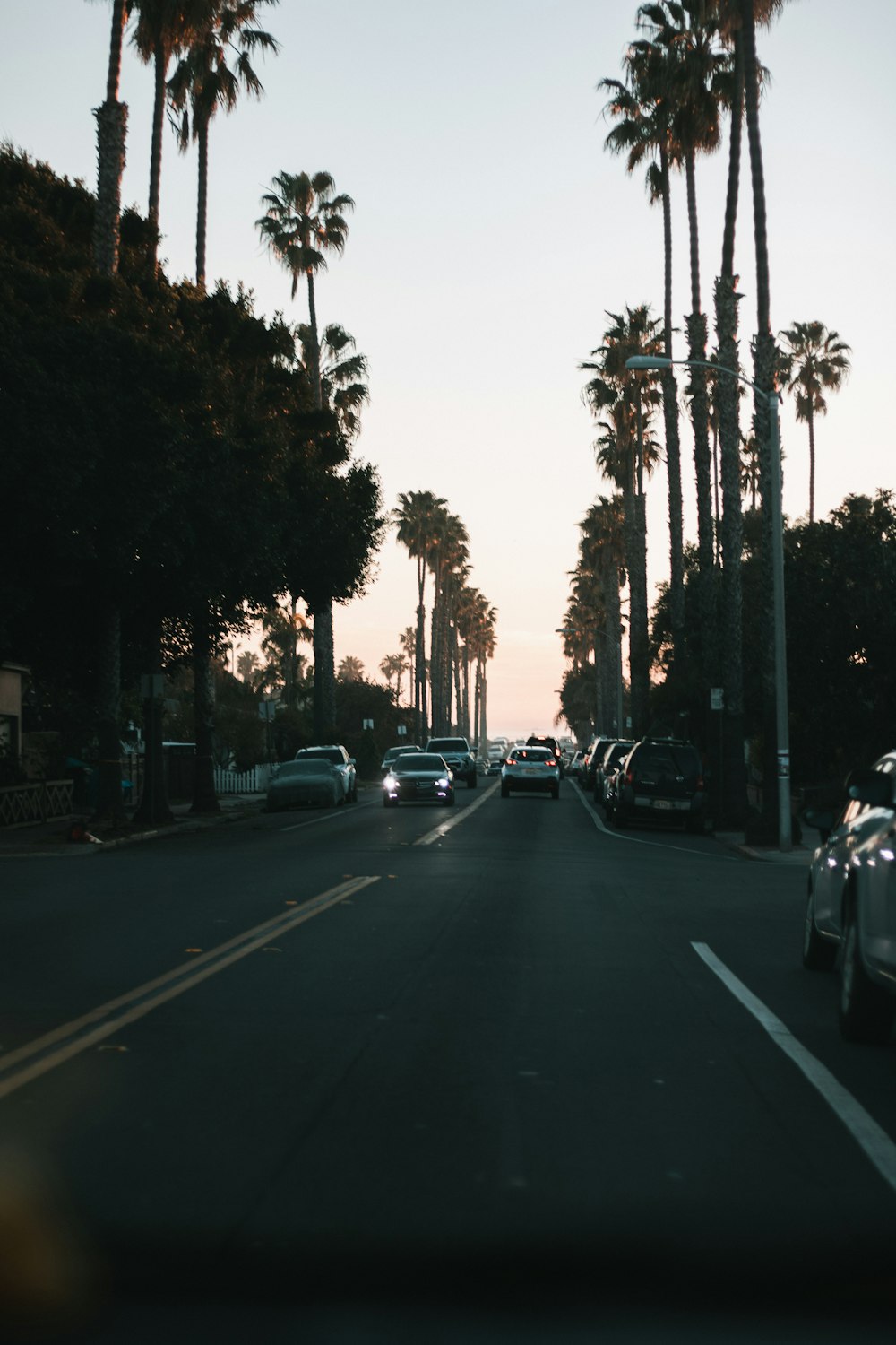 Une rue de la ville avec des palmiers et des voitures garées