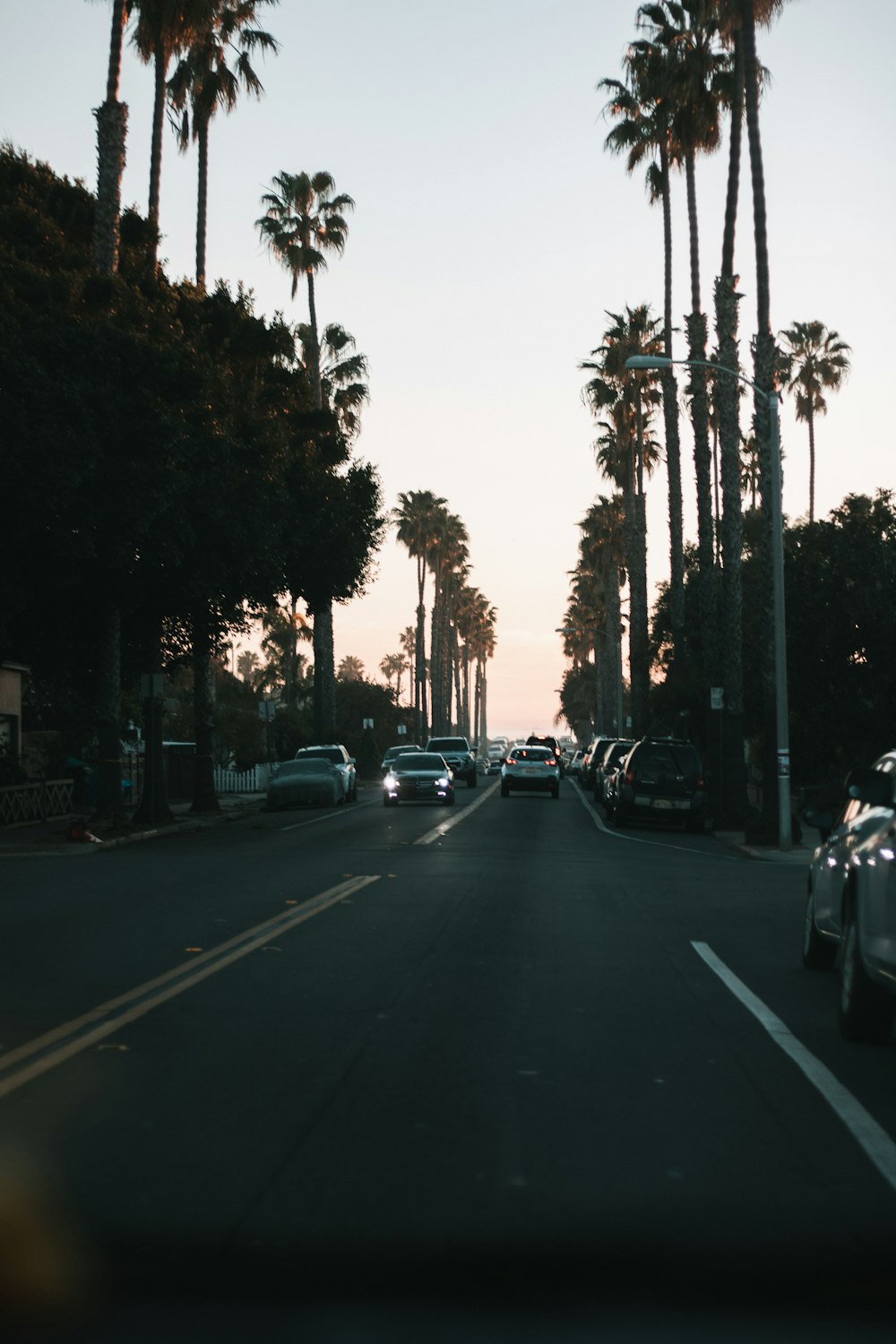 a city street with palm trees and parked cars