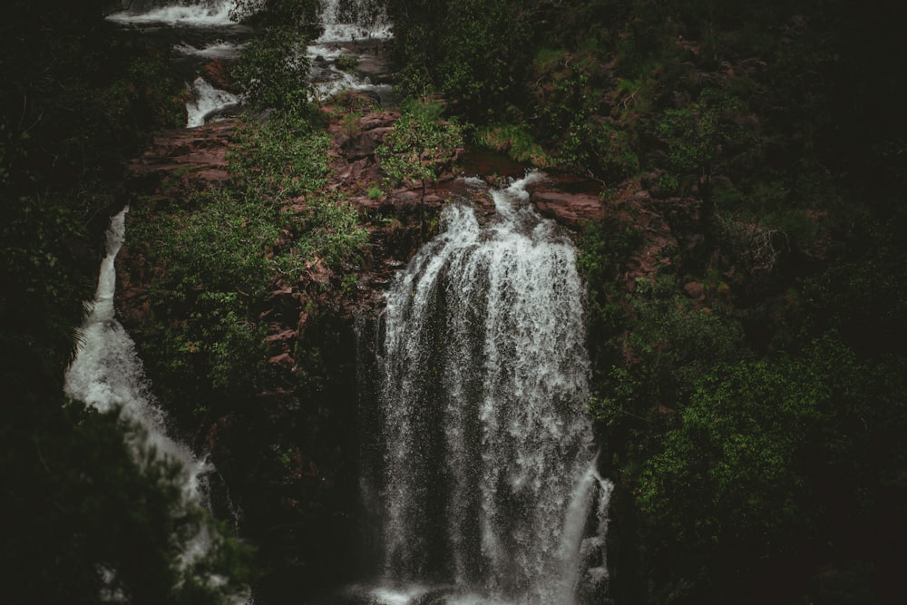 a waterfall in the middle of a forest