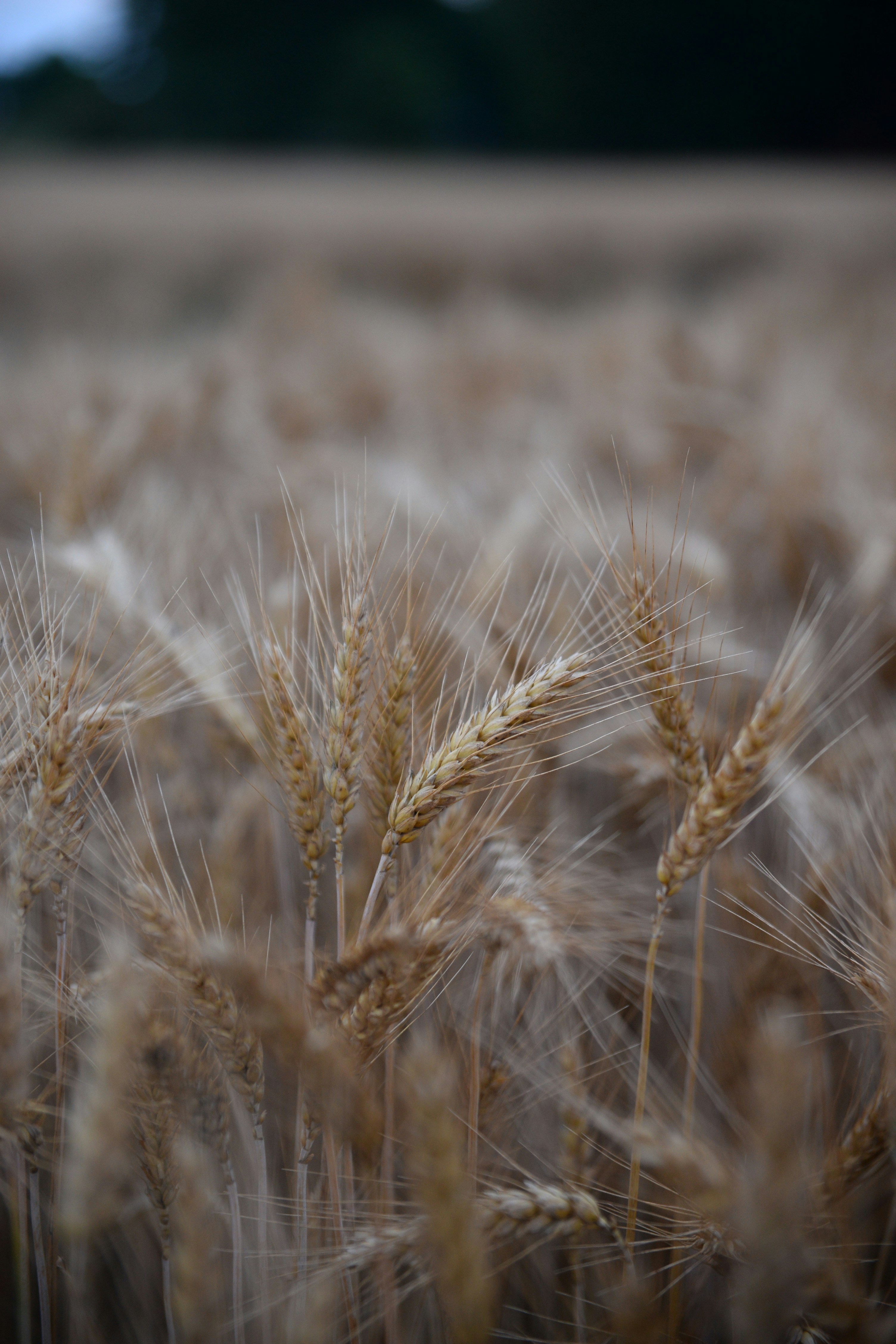 Photo by amandabelec