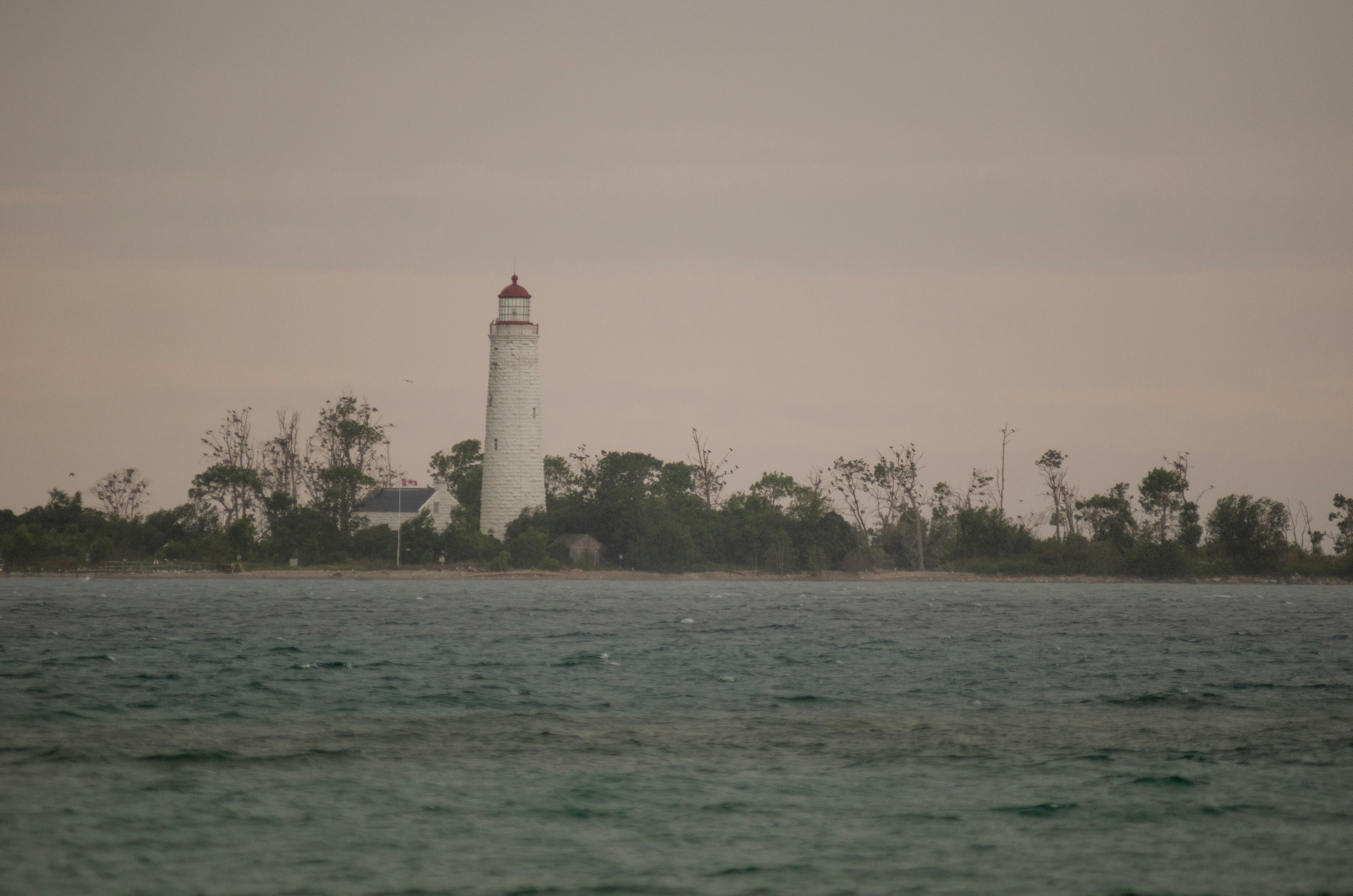 Photo by amandabelec