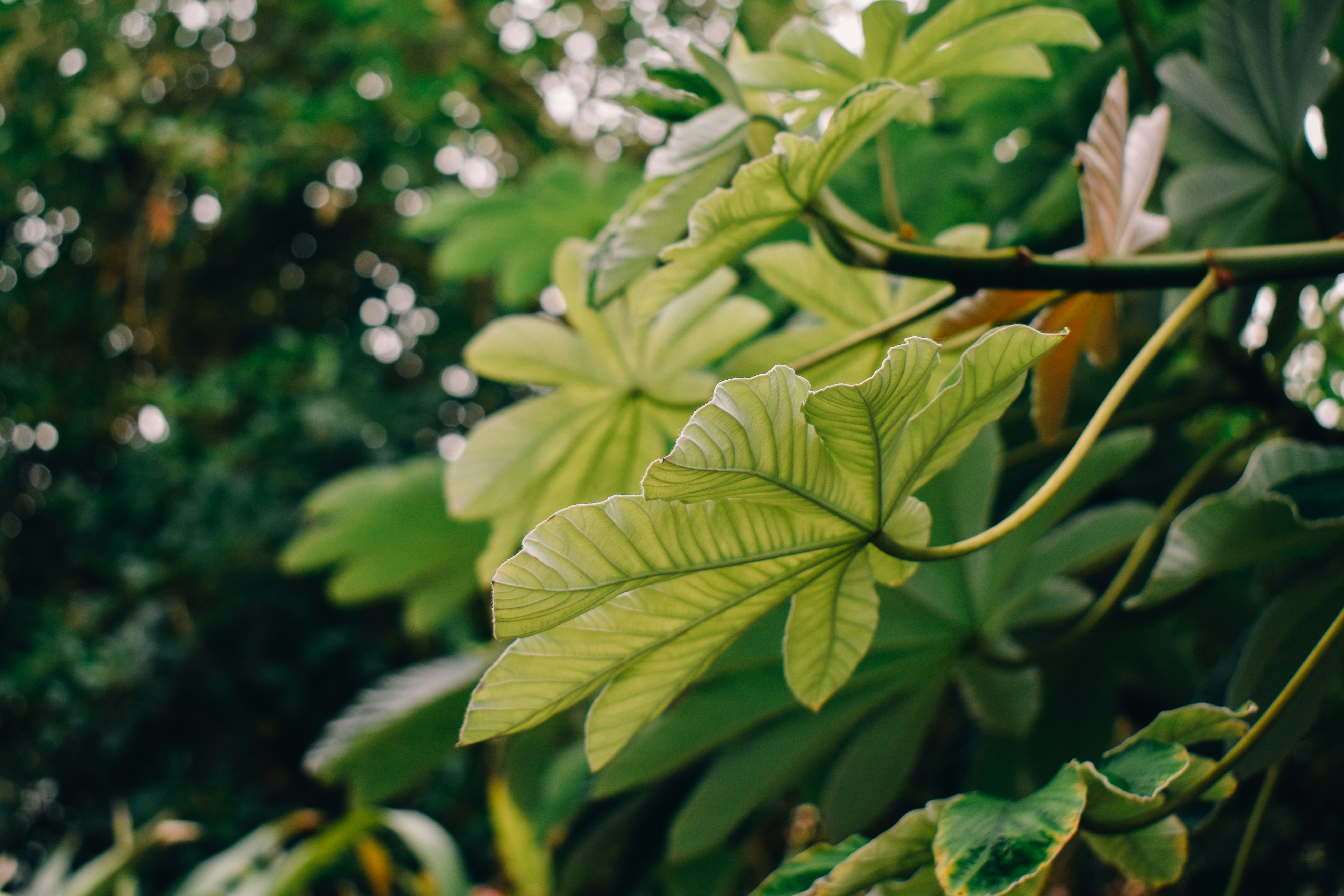 Photo by mmmkaydesign