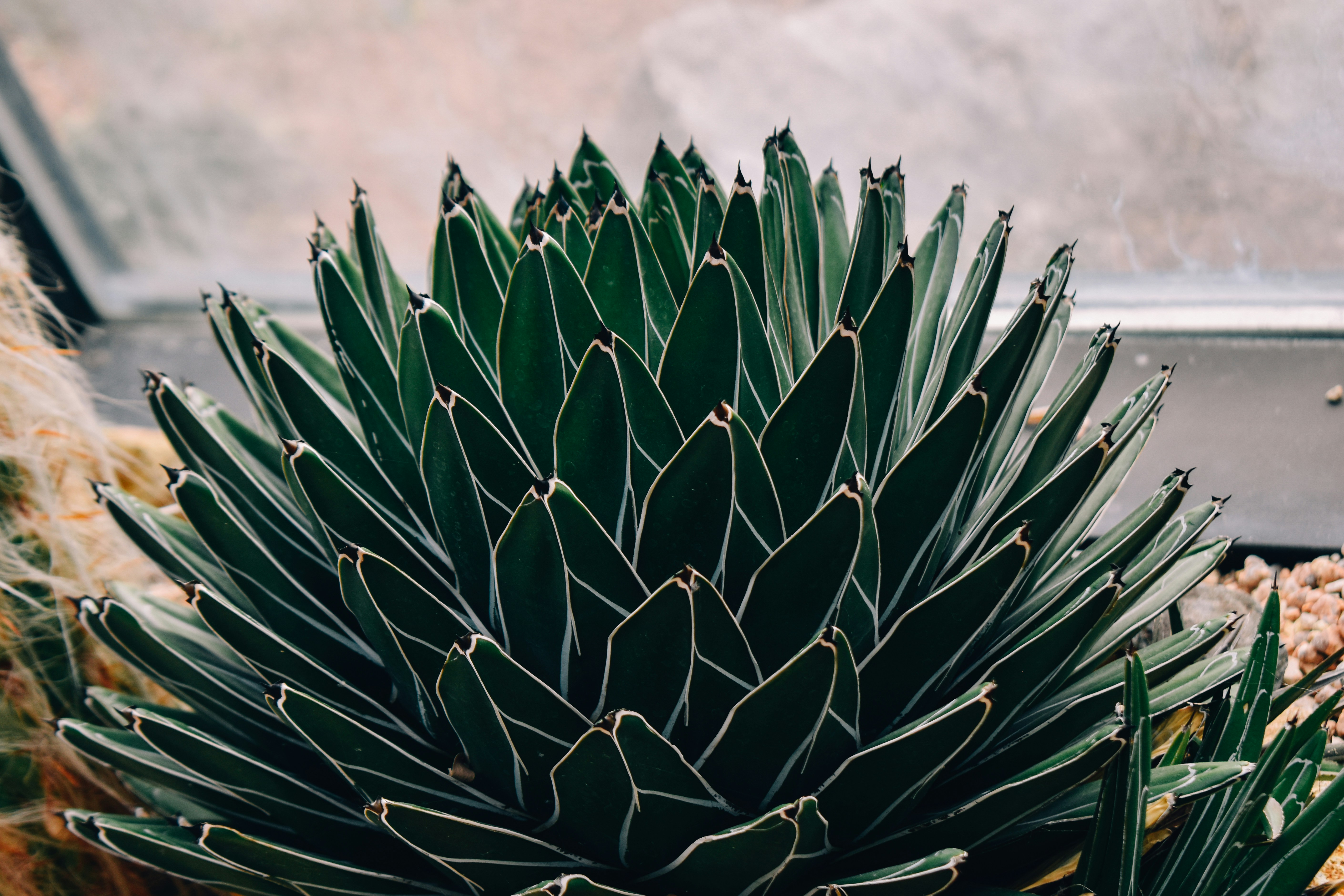 Photo by mmmkaydesign