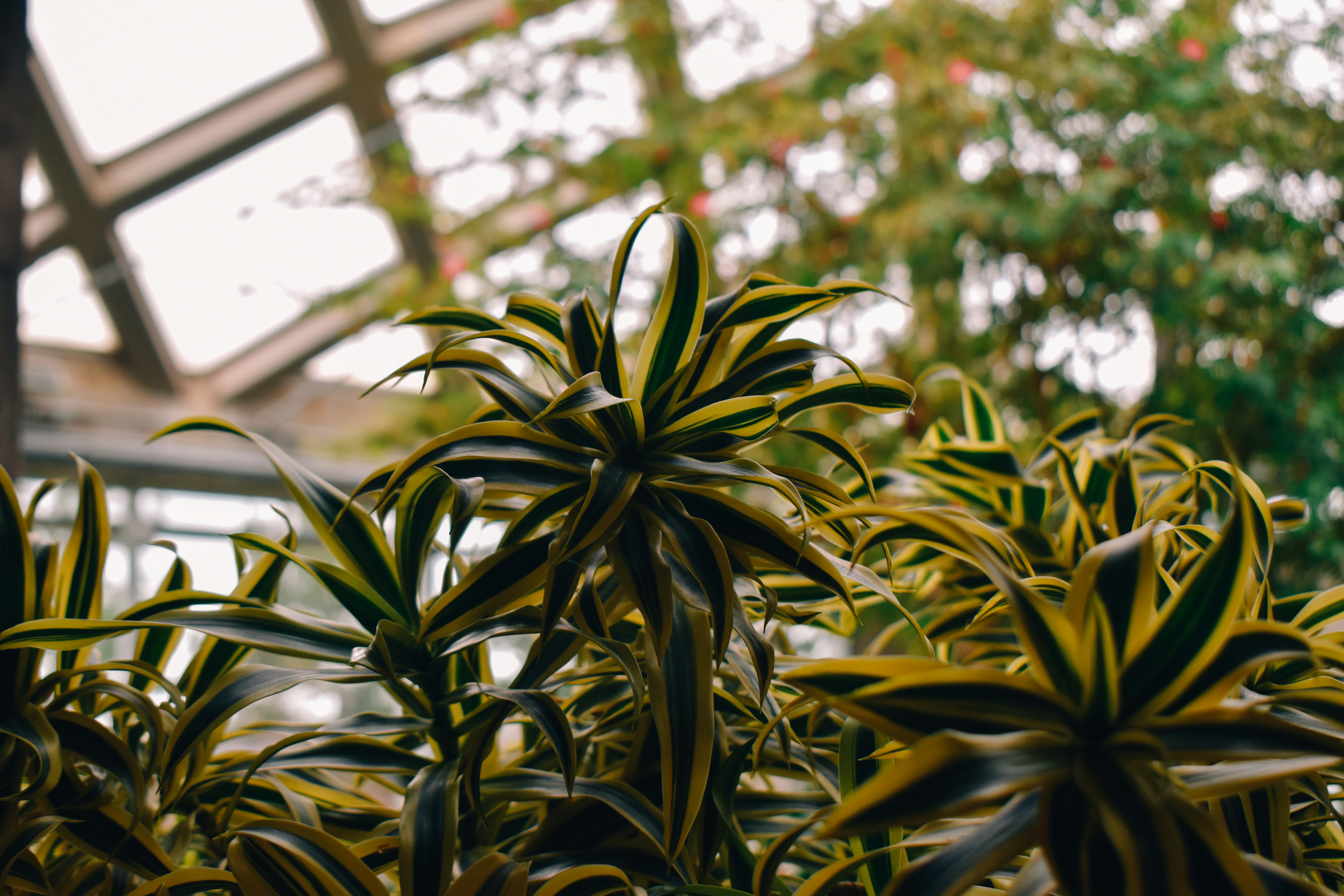 Photo by mmmkaydesign