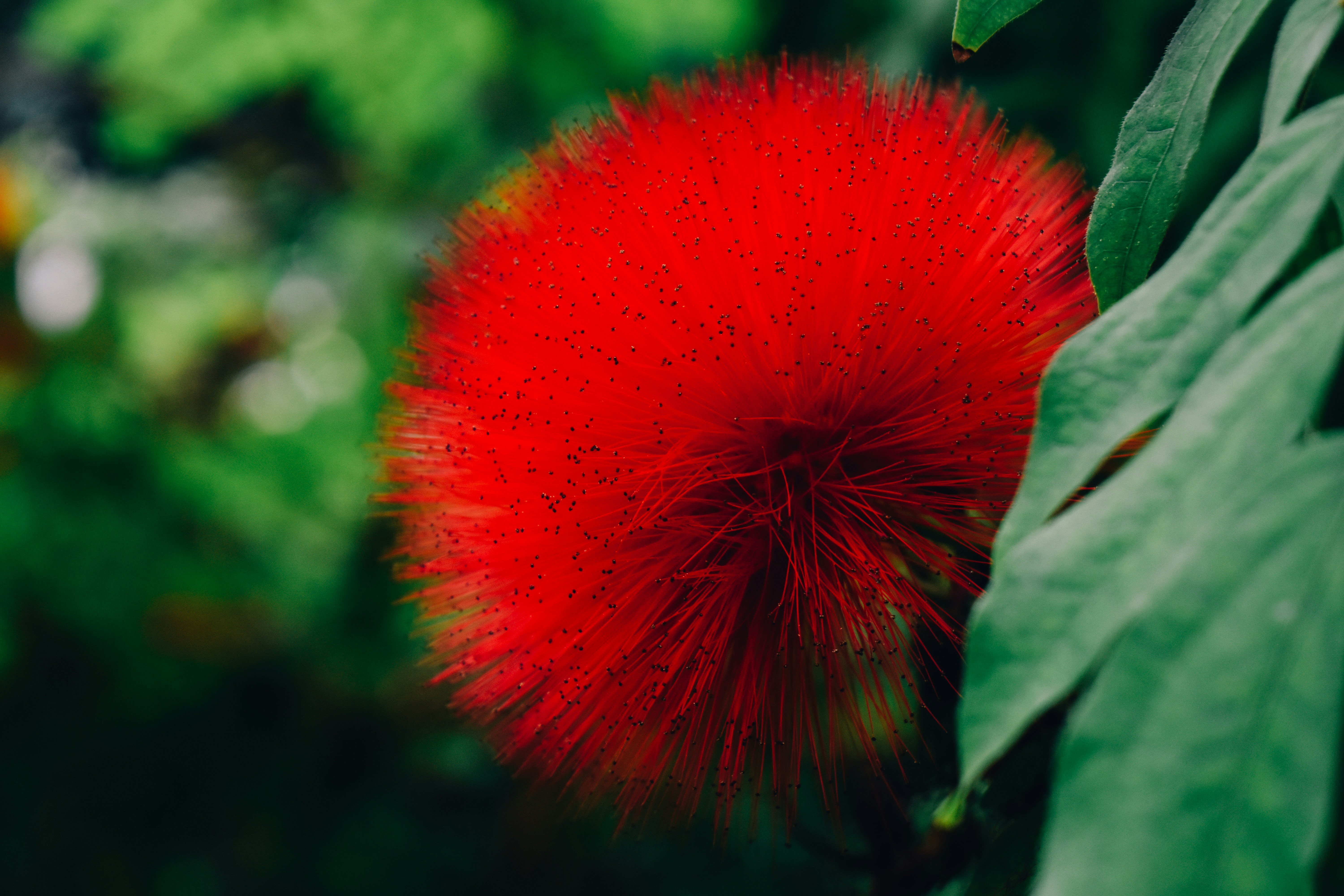 Photo by mmmkaydesign