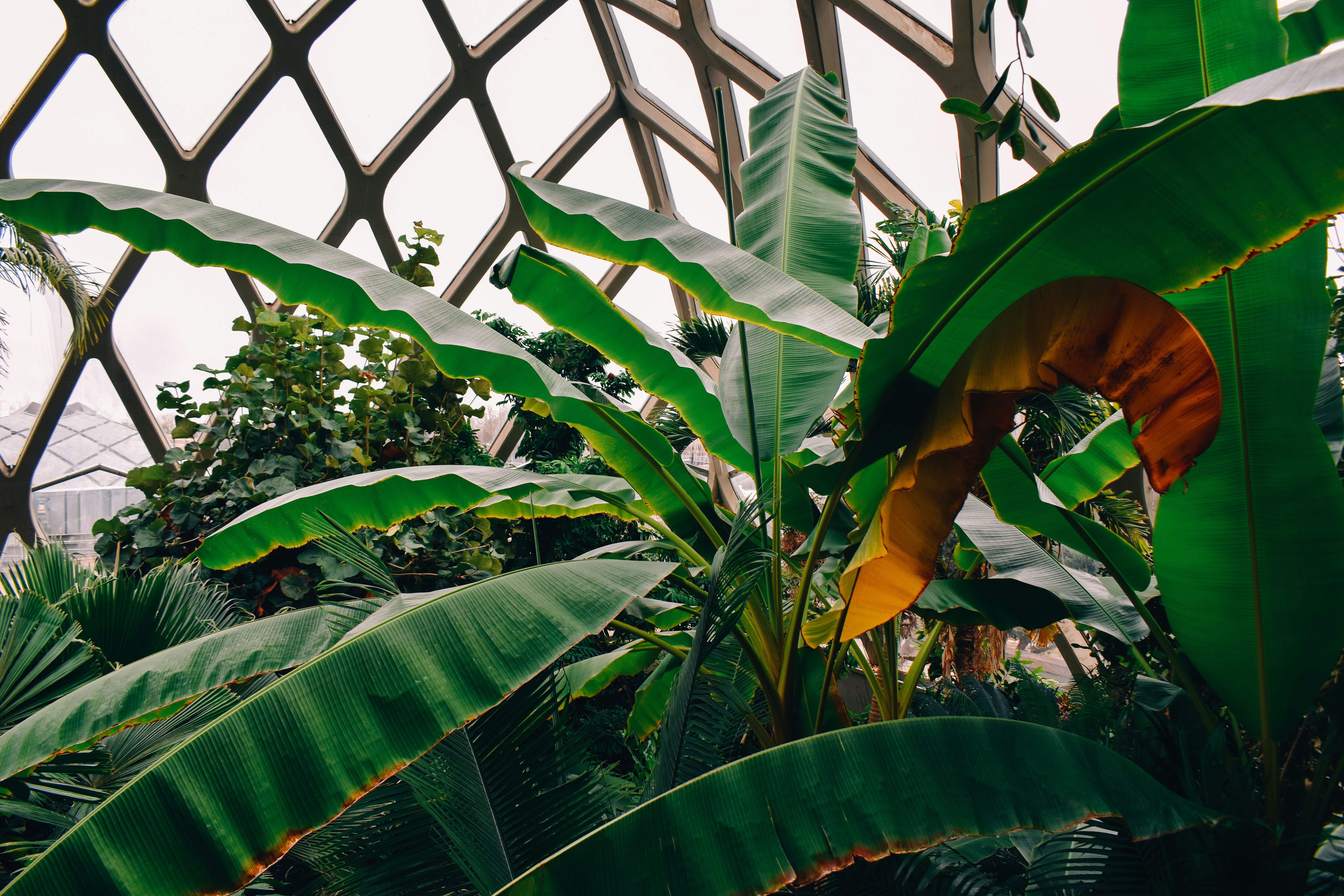 Photo by mmmkaydesign