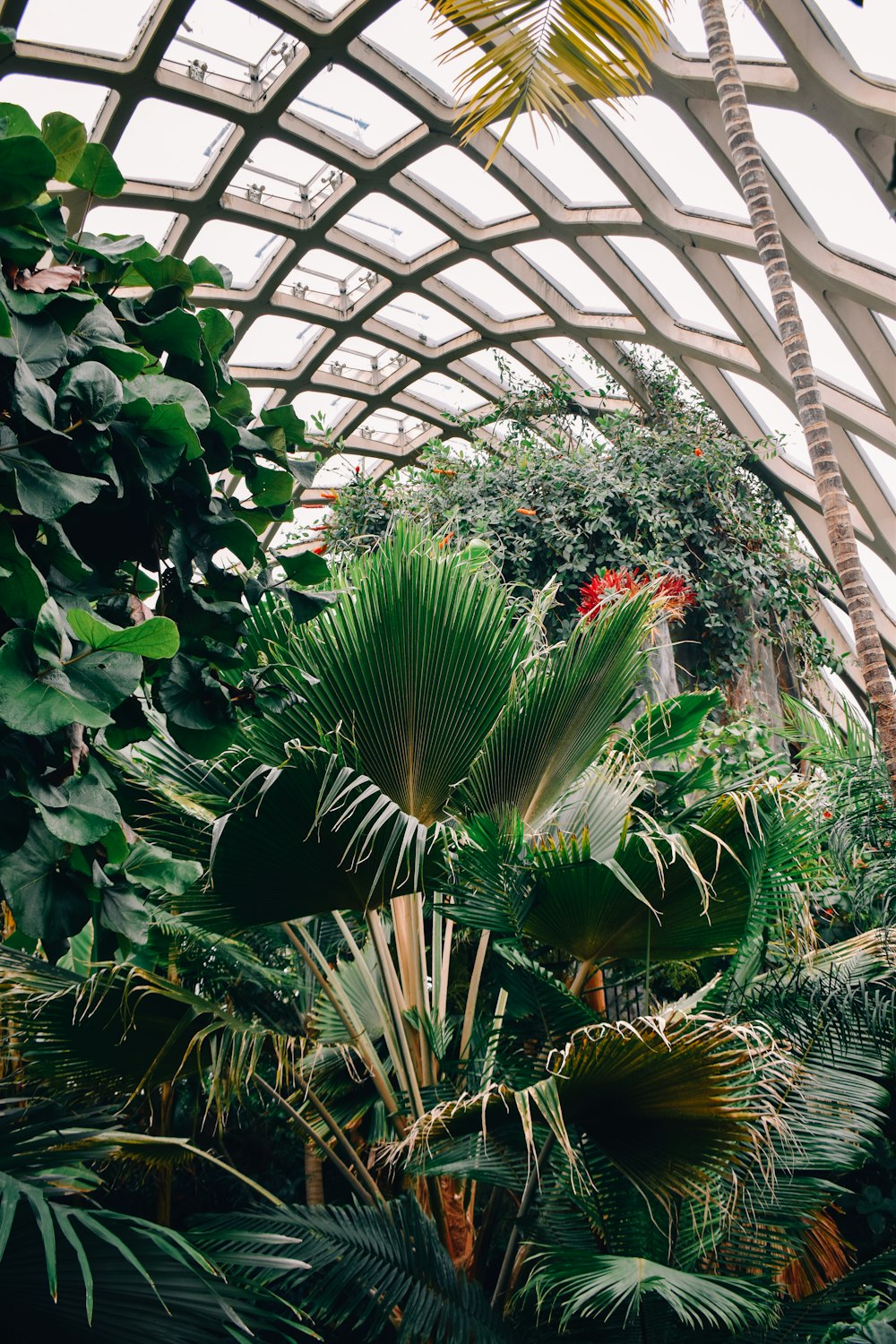 the inside of a building with lots of plants