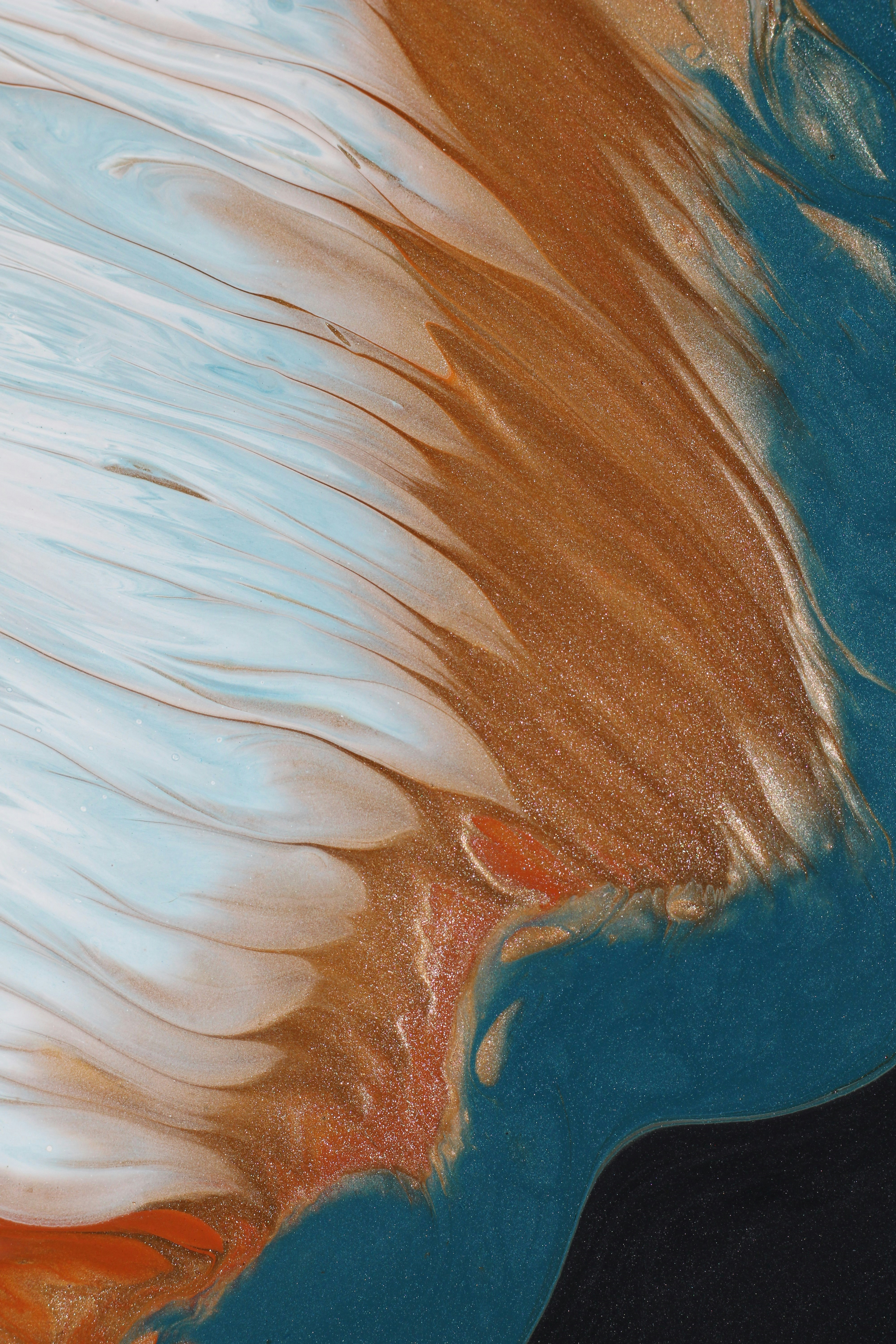 Photo by susan_wilkinson