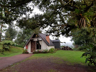 A small, quaint A-frame house is nestled among lush greenery and large trees. The house features a brick chimney, a wooden door, and a small flower garden in front. A pile of firewood is visible to the right. The grass is vibrant, and the sky is overcast, casting a serene ambiance.