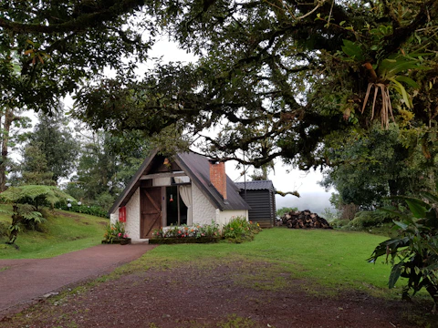 A small, quaint A-frame house is nestled among lush greenery and large trees. The house features a brick chimney, a wooden door, and a small flower garden in front. A pile of firewood is visible to the right. The grass is vibrant, and the sky is overcast, casting a serene ambiance.