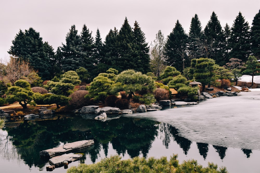 Ein Teich umgeben von Bäumen und Felsen