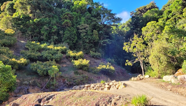 Quetzal Walk