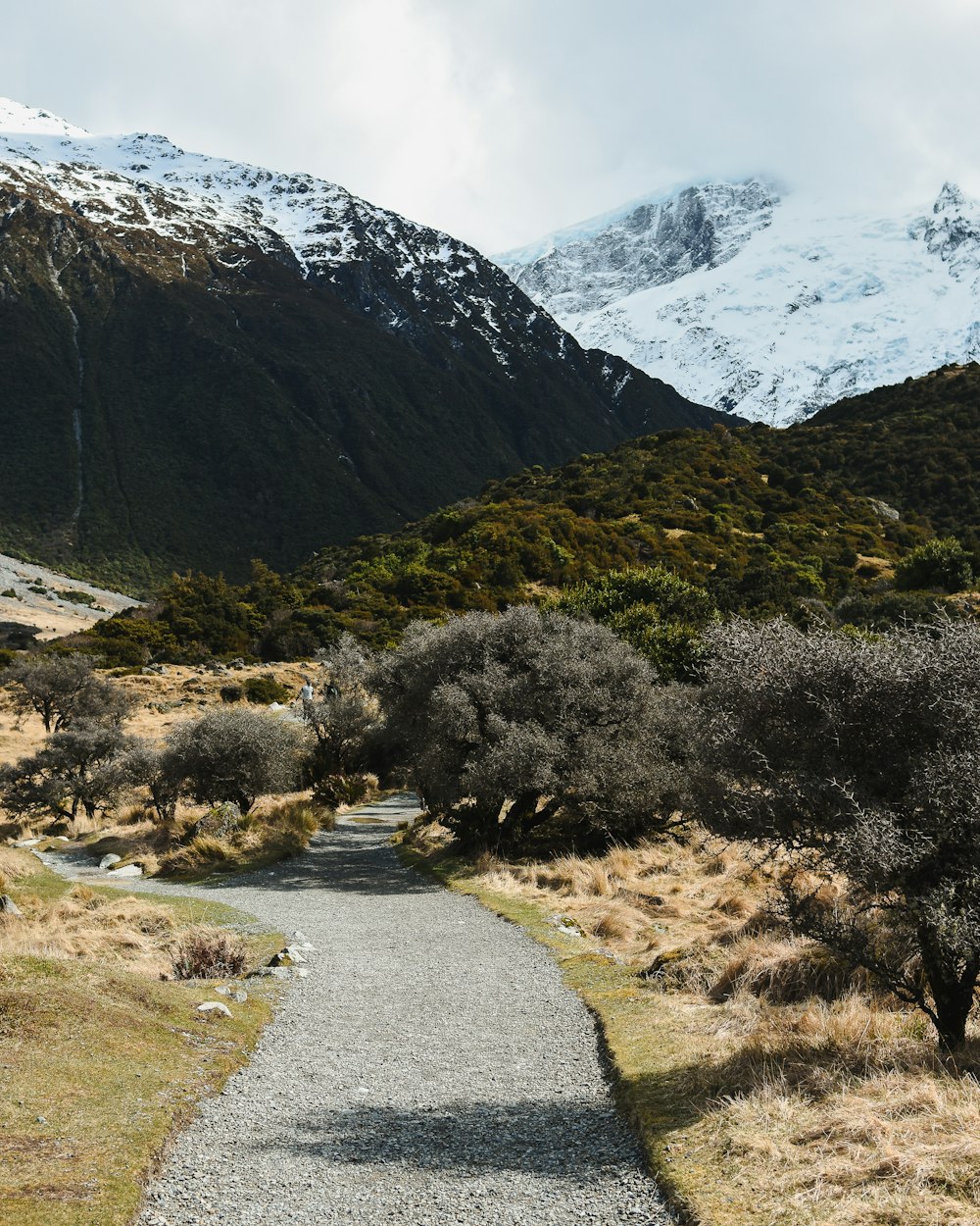 a path leading to a snowy mountain range
