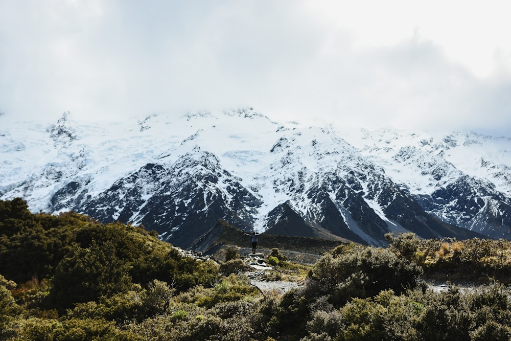 a snowy mountain range with trees and bushes