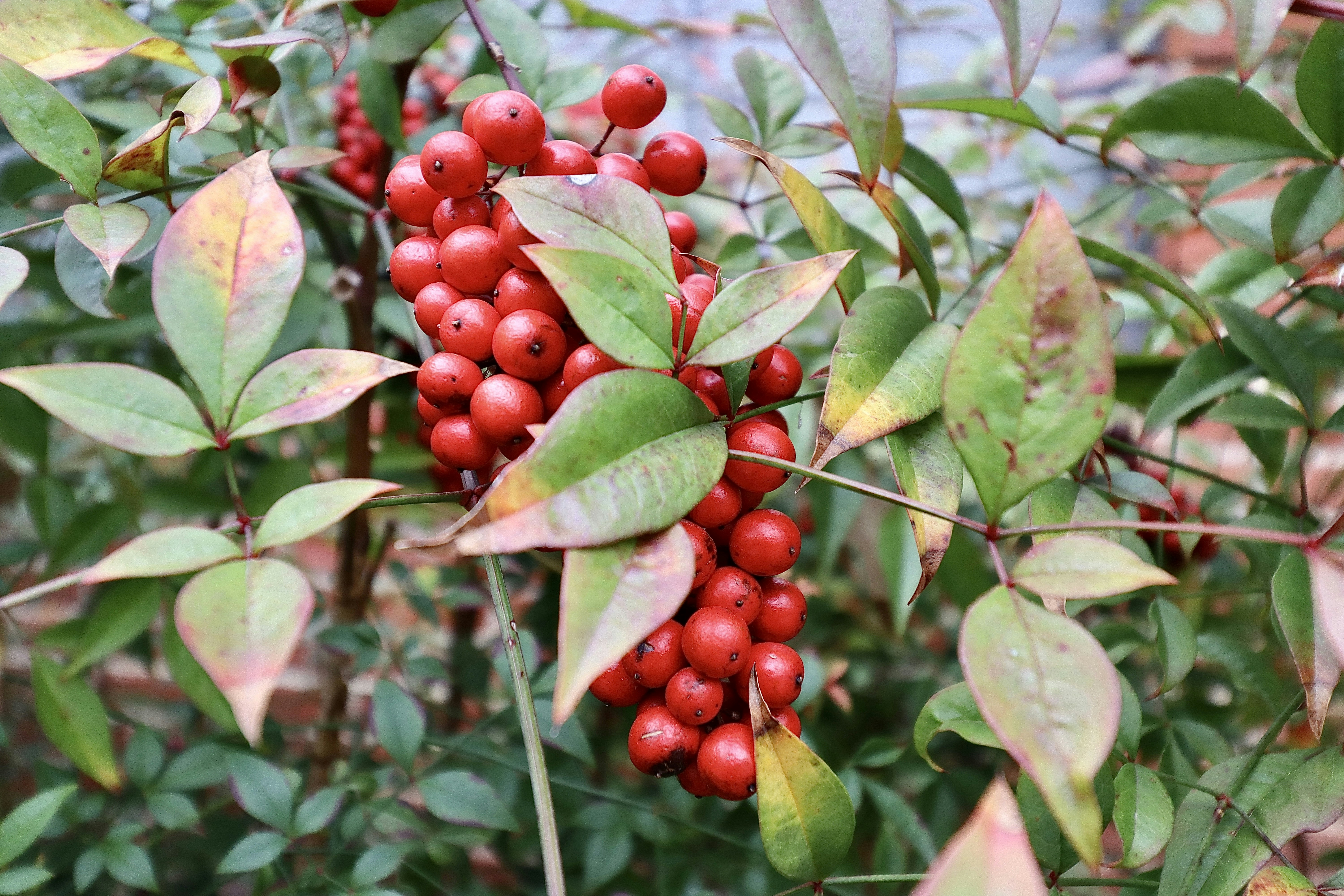 Photo by capturedbyk