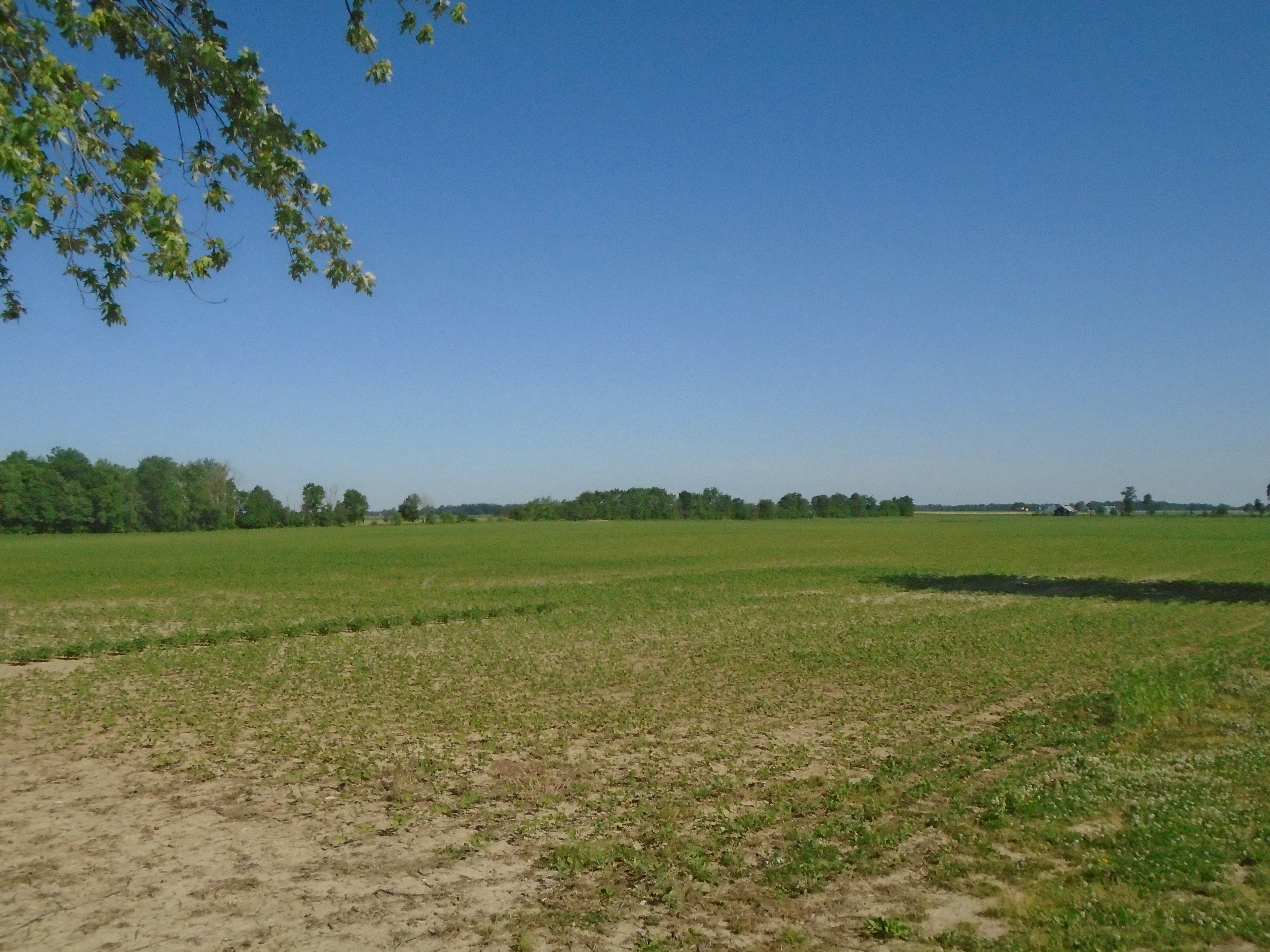 Photo by photo_lover75