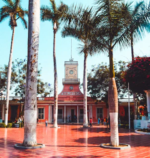 a building with a clock tower surrounded by palm trees