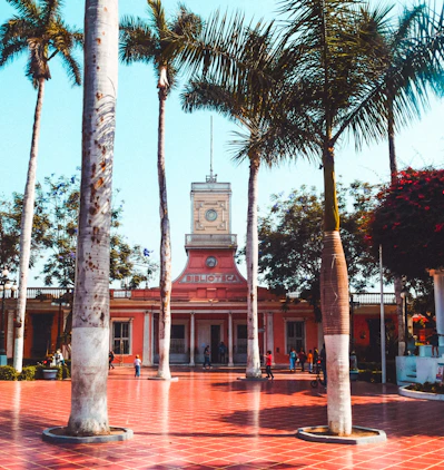 a building with a clock tower surrounded by palm trees