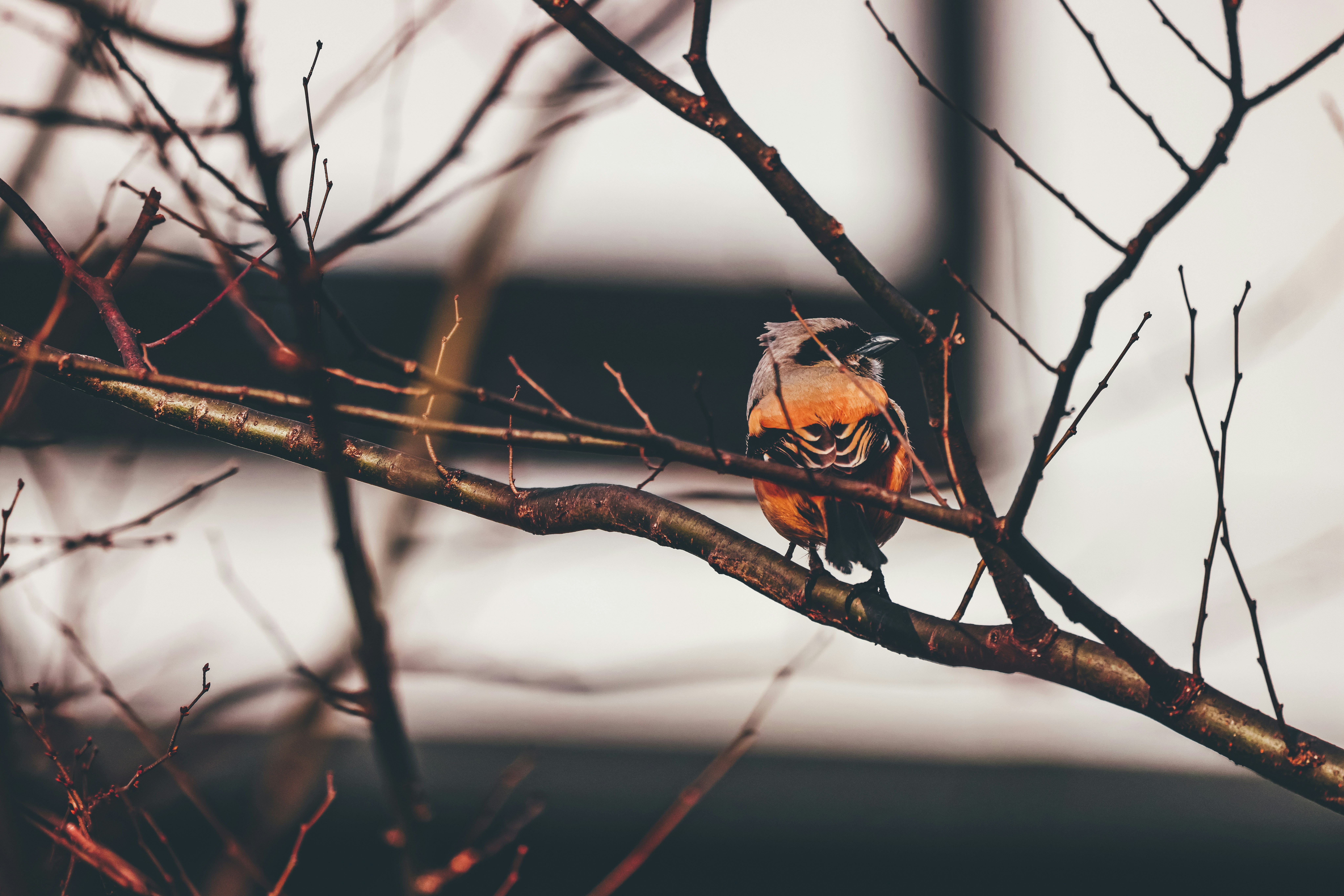 Photo by arttoinspire