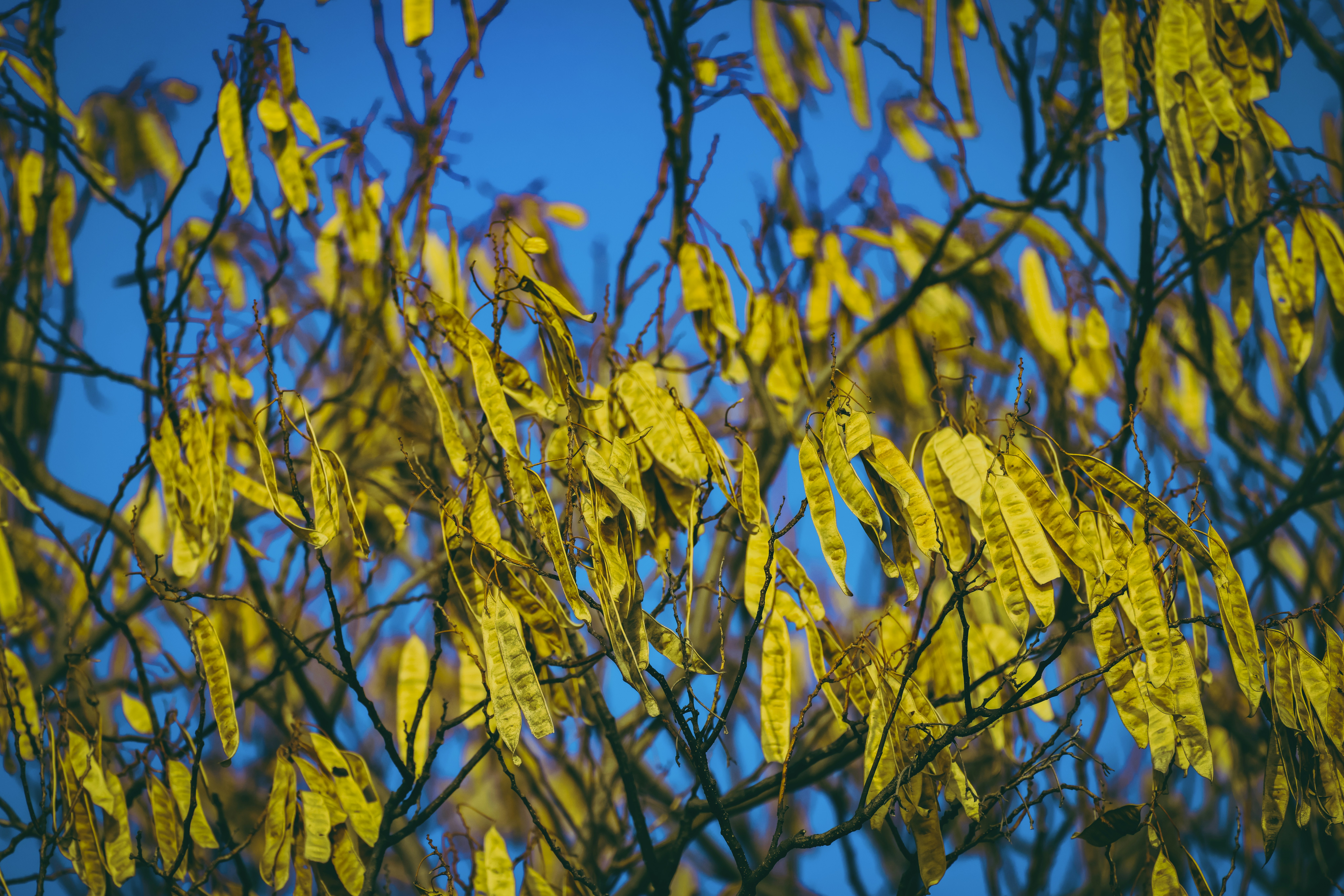 Photo by arttoinspire