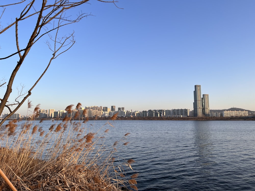 a body of water with a city in the background