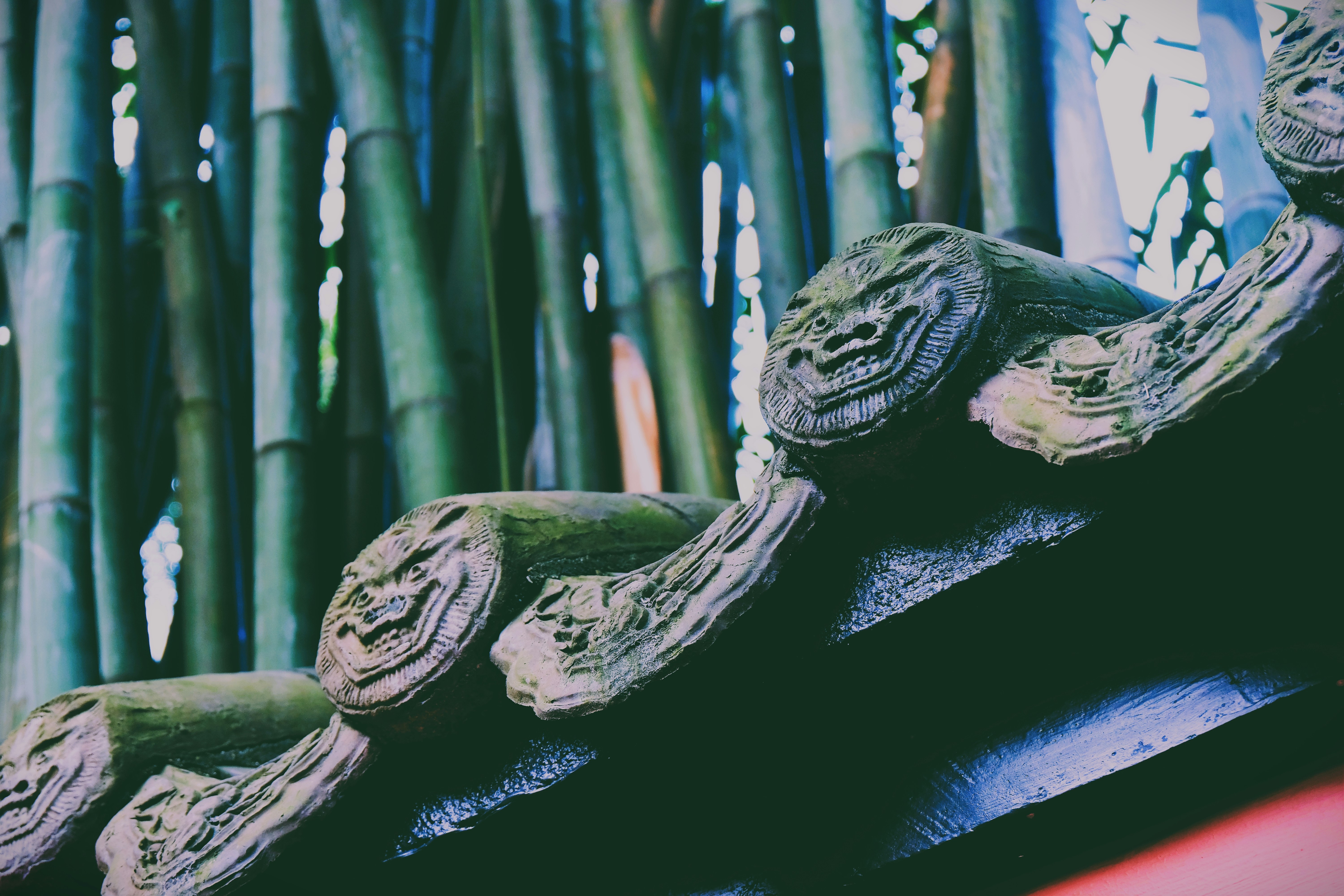 a close up of a bamboo tree with a building in the background